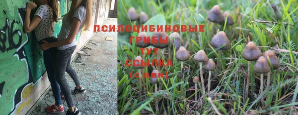 МДПВ Лихославль